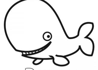 Dibujos de una ballena para colorear. Dibujos de animales para niños