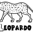 Leopardo