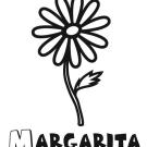 Dibujo de margarita, una flor para imprimir y pintar