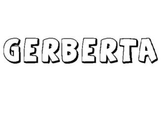 GERBERTA