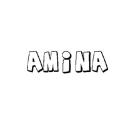 AMINA