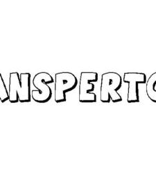 ANSPERTO