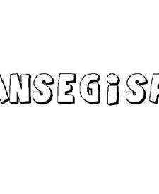 ANSEGISA