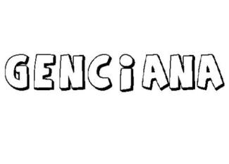 GENCIANA