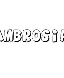 AMBROSIA