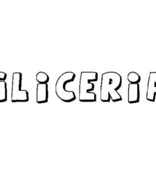 GLICERIA