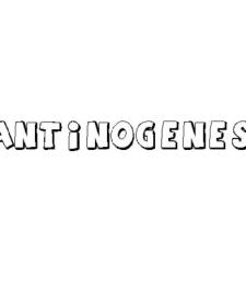 ANTINOGENES