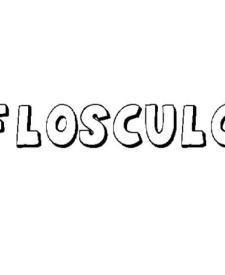 FLÓSCULO