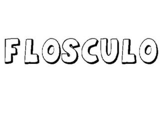 FLÓSCULO