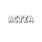 ACTEA