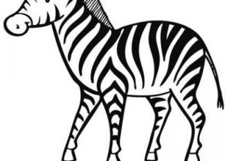 Dibujos infantiles de una cebra para colorear con los niños