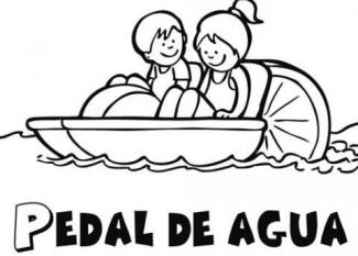 Pedal de agua