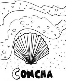 Concha