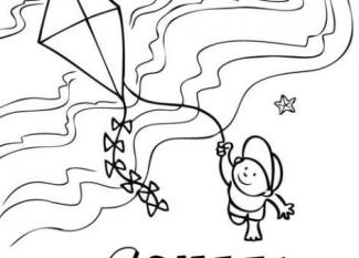 Niño y cometa