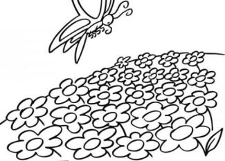 Mariposa en un campo de flores. Dibujo para pintar