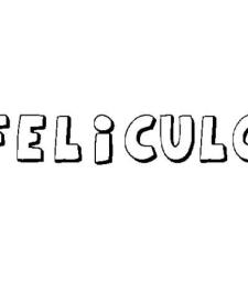 FELÍCULO