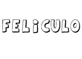 FELÍCULO