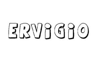 ERVIGIO