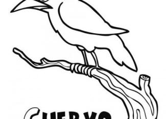 Dibujos de cuervos para colorear. Imágenes de aves para pintar