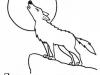 Dibujo de un lobo para colorear. Dibujos de animales para niños