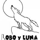 Dibujo de un lobo para colorear. Dibujos de animales para niños