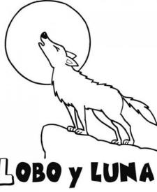 Dibujo de un lobo para colorear. Dibujos de animales para niños