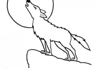 Dibujo de un lobo para colorear. Dibujos de animales para niños