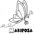 Mariposa volando