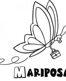 Mariposa volando