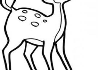Bambi
