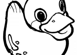 Patito de goma