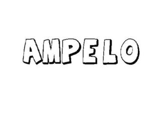 AMPELO