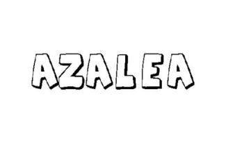 AZALEA