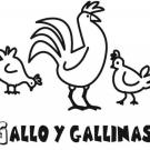 Imagen de gallo y gallinas para colorear