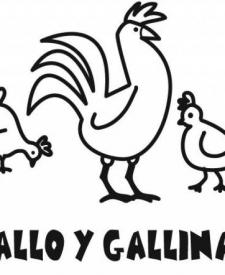 Imagen de gallo y gallinas para colorear