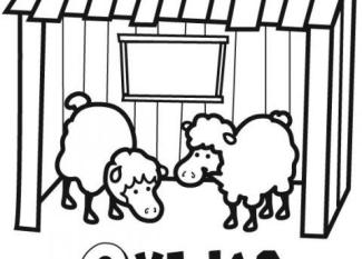 Dibujo infantil de ovejas para colorear
