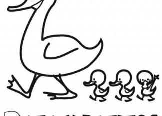 Dibujo para pintar de mamá pata y sus patitos. Dibujos de animales