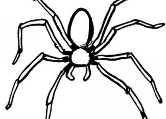 Araña
