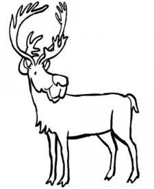 Dibujo infantil de un reno para imprimir y colorear