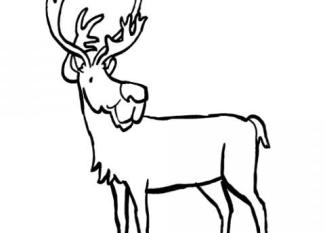 Dibujo infantil de un reno para imprimir y colorear