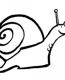 Dibujos infantiles de un caracol en su concha para colorear
