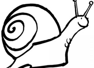 Dibujos infantiles de un caracol en su concha para colorear