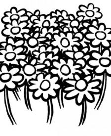 Dibujos de un campo de flores para colorear por los niños.