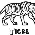 Tigre