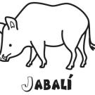 Dibujo para pintar de un jabalí. Dibujos de animales para imprimir