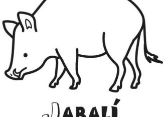 Dibujo para pintar de un jabalí. Dibujos de animales para imprimir