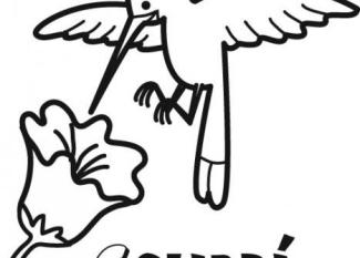 Colibrí para colorear con los niños. Dibujos de pájaros.