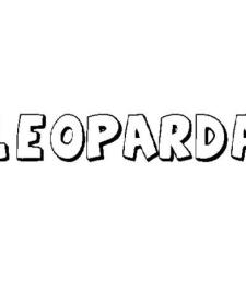 LEOPARDA