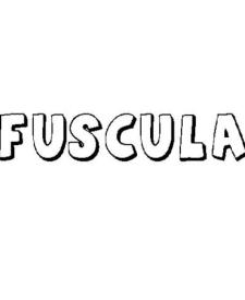 FÚSCULA