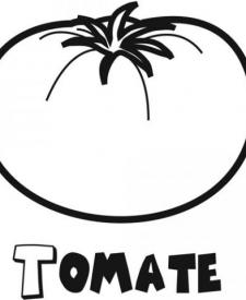 Dibujo de tomate. Imágenes infantiles de fruta y verdura